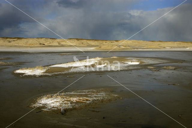 Nationaal Park Duinen van Texel