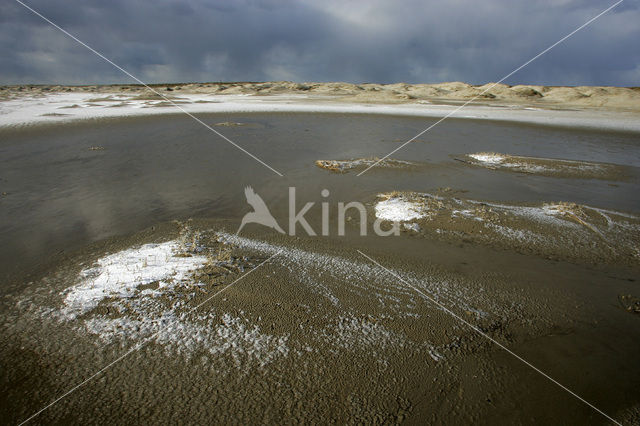 Nationaal Park Duinen van Texel