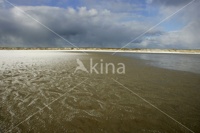 Nationaal Park Duinen van Texel