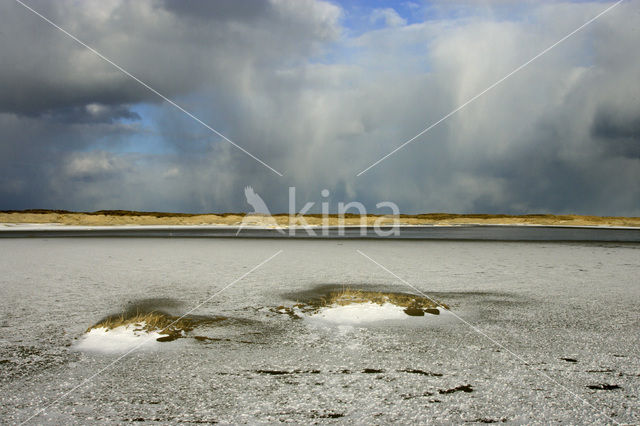 Nationaal Park Duinen van Texel