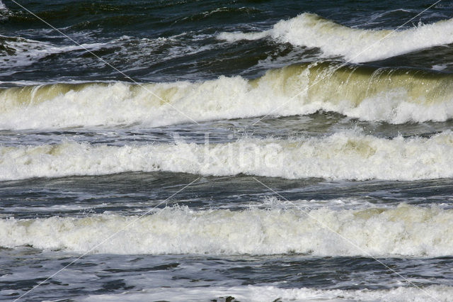 Nationaal Park Duinen van Texel