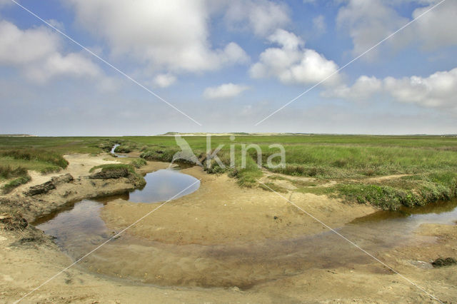 Nationaal Park Duinen van Texel