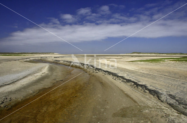 Nationaal Park Duinen van Texel