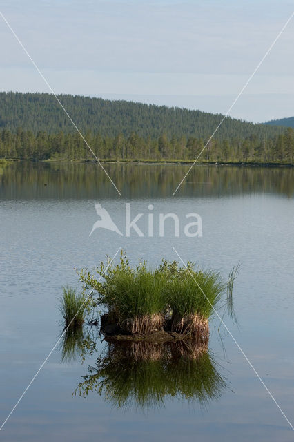 Nationaal Park Fulufjället