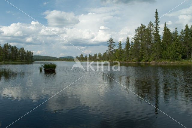 Nationaal Park Fulufjället