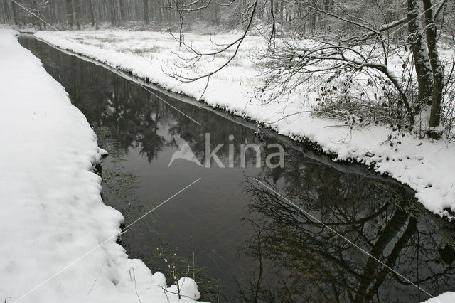 Staverdense beek