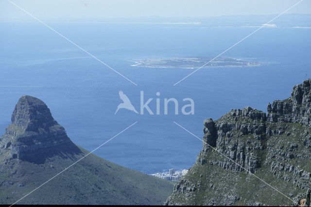 Table mountain national park