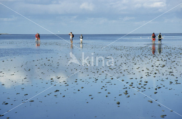 Waddenzee