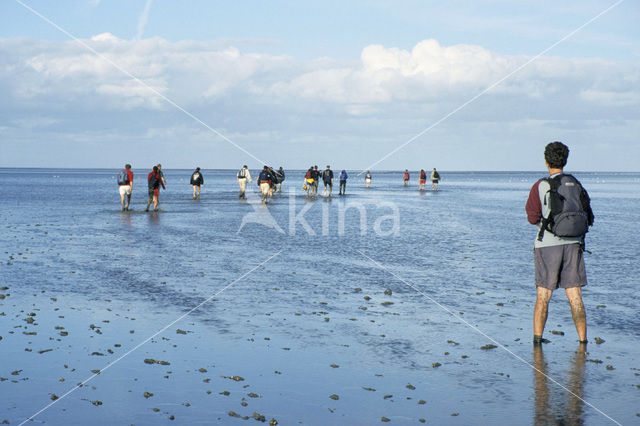 Waddenzee