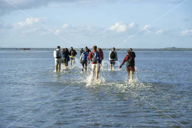 Waddenzee