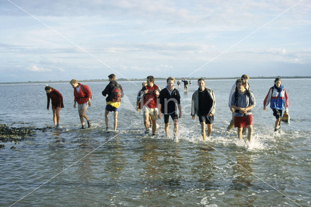 Waddenzee