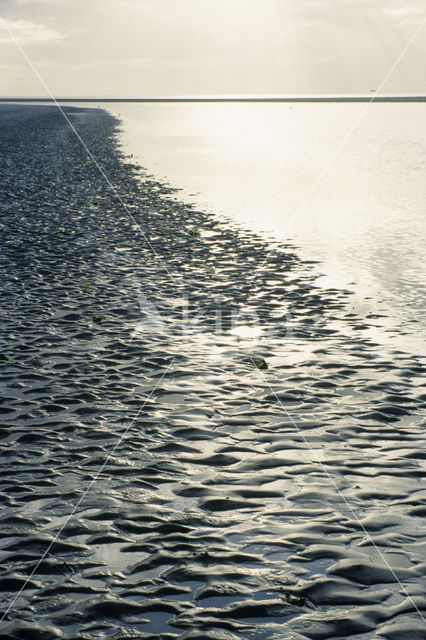 Waddenzee