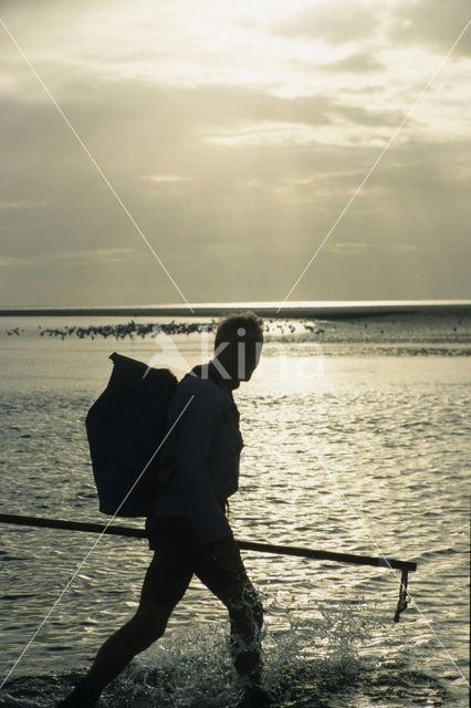 Waddenzee