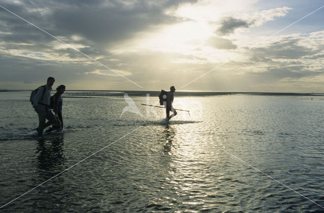 Waddenzee