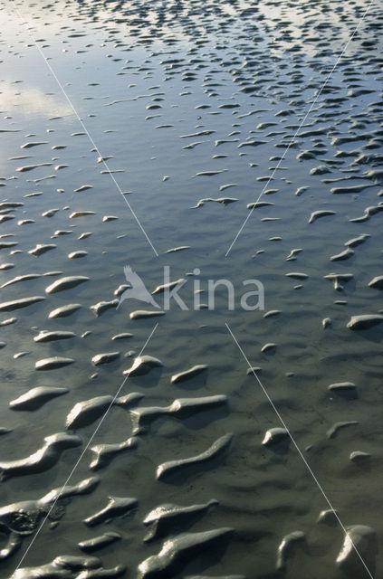 Waddenzee