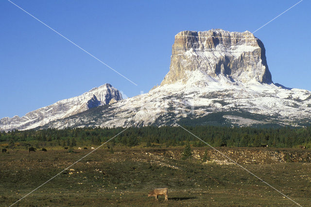 Glacier National Park