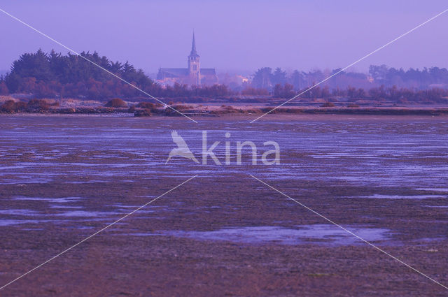 Ile d’ Olonne