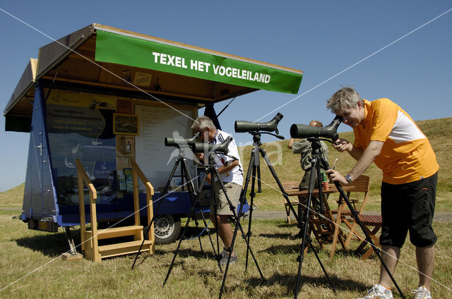 Lage land van Texel