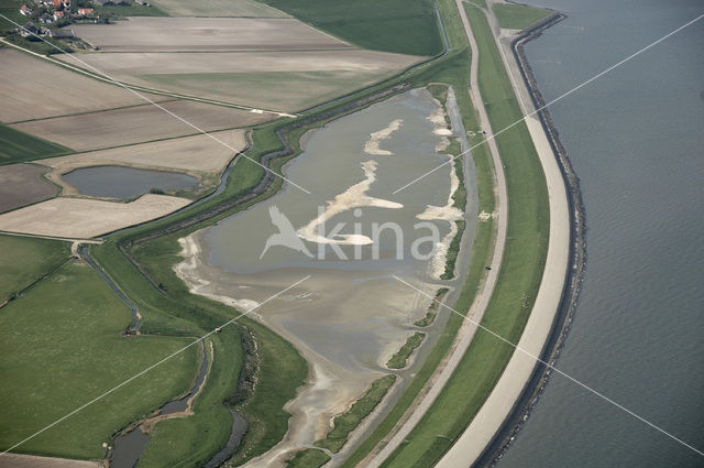 Lage land van Texel