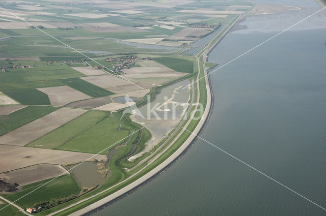 Lage land van Texel