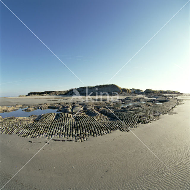 Noordzee