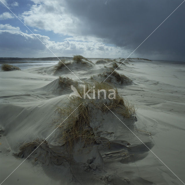 Terschelling