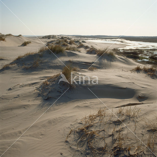 Terschelling