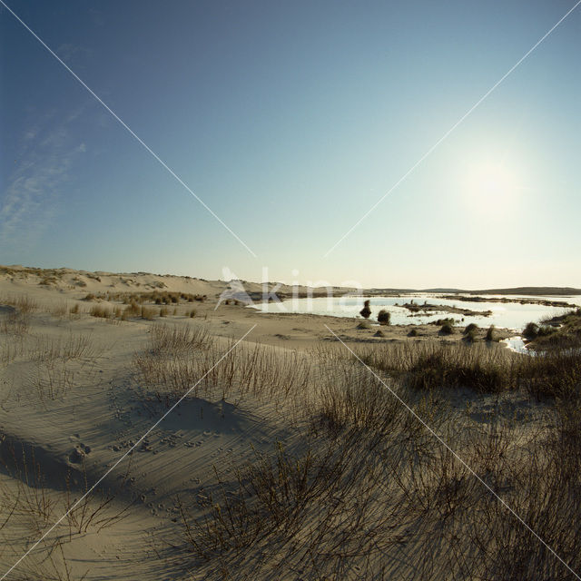 Terschelling