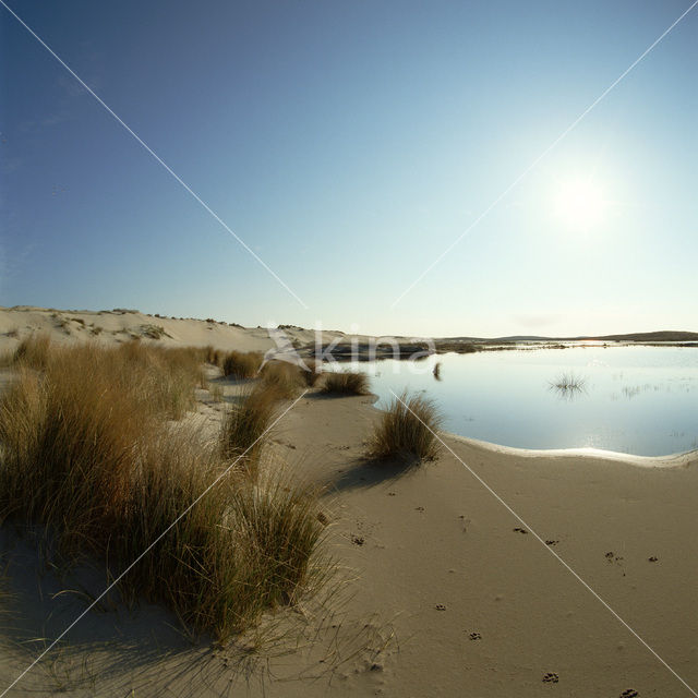 Terschelling