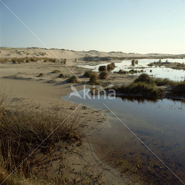 Terschelling