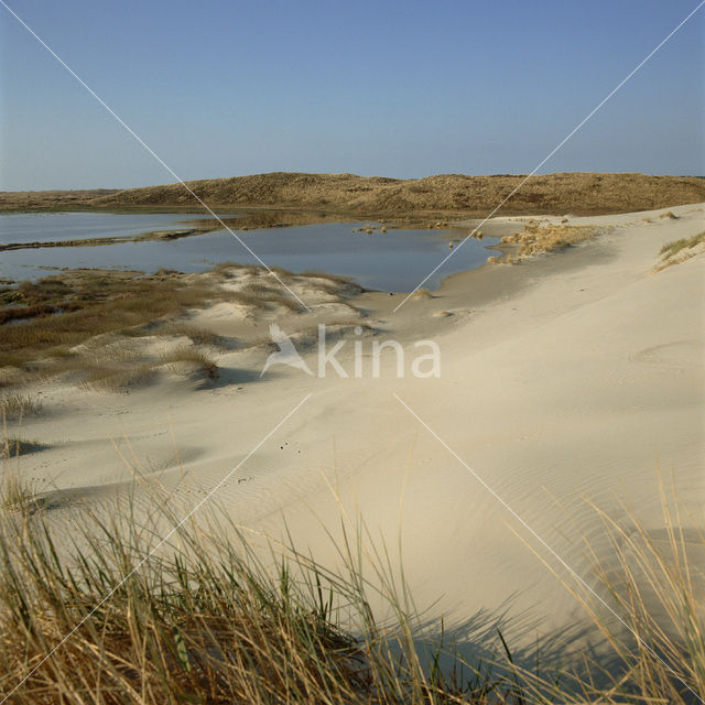 Terschelling