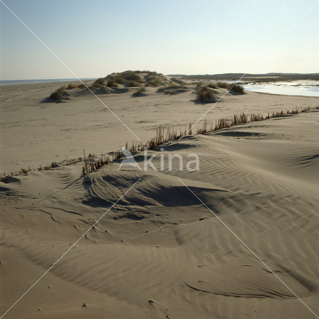 Terschelling