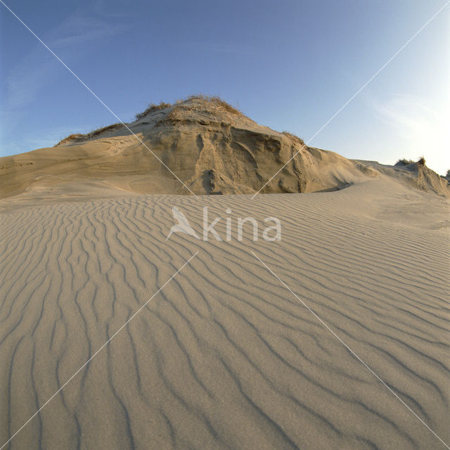 Terschelling