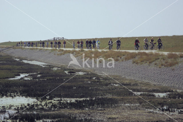 Terschelling