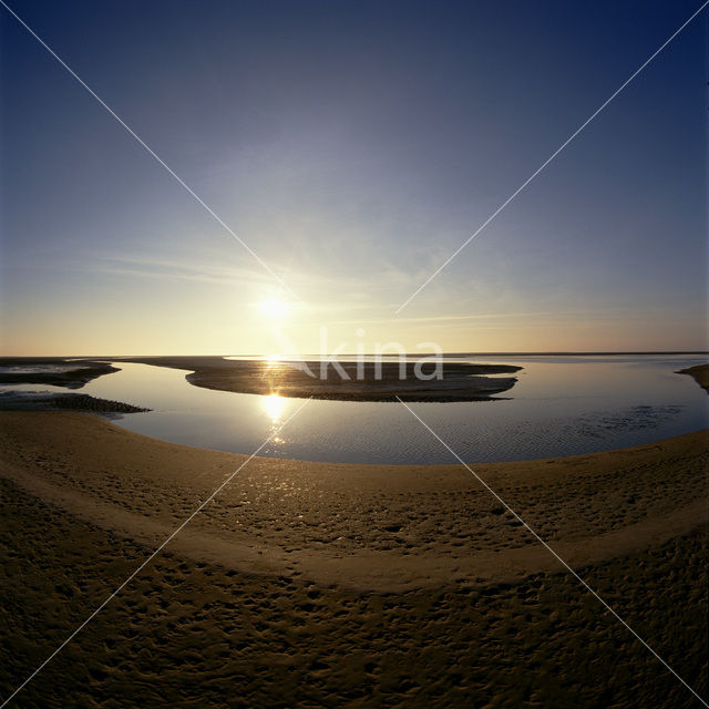 Waddensea