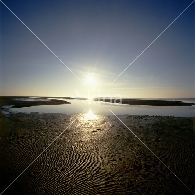 Waddenzee