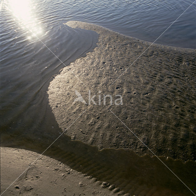 Waddenzee