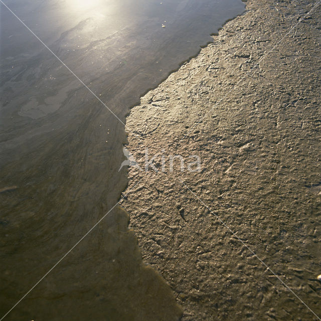 Waddenzee