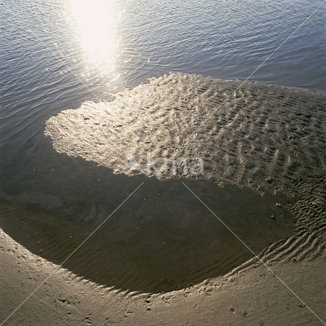 Waddenzee