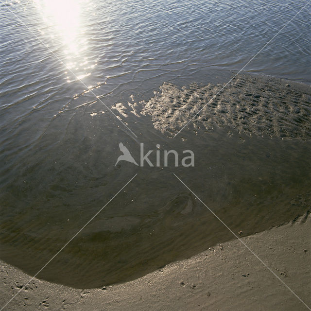 Waddenzee