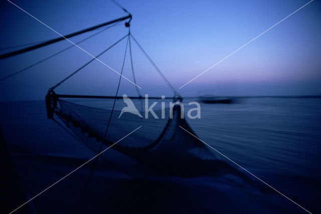 Waddensea