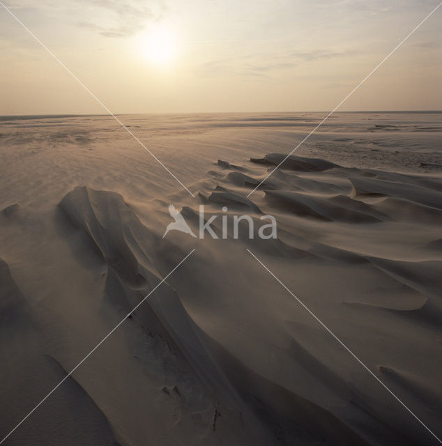 Waddenzee