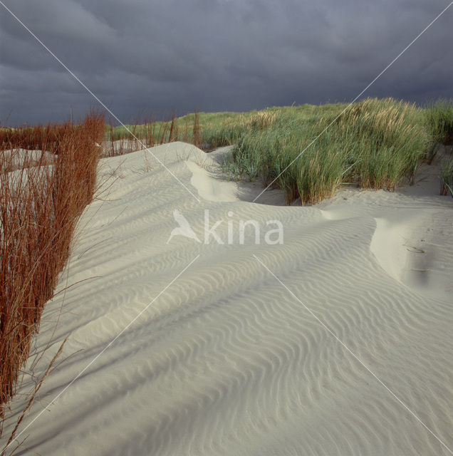 Waddenzee