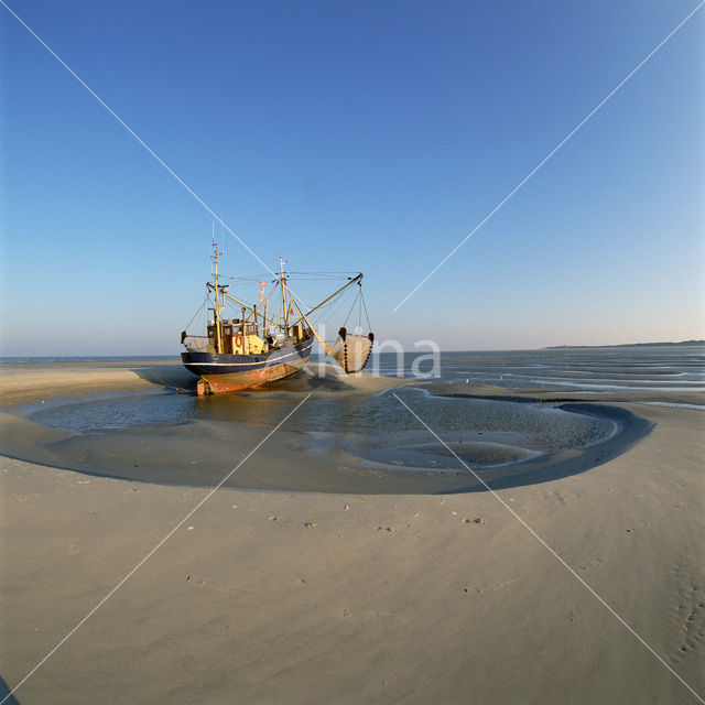 Waddensea