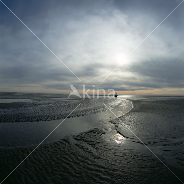 Waddenzee