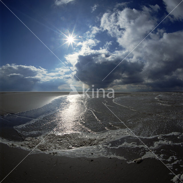 Waddensea