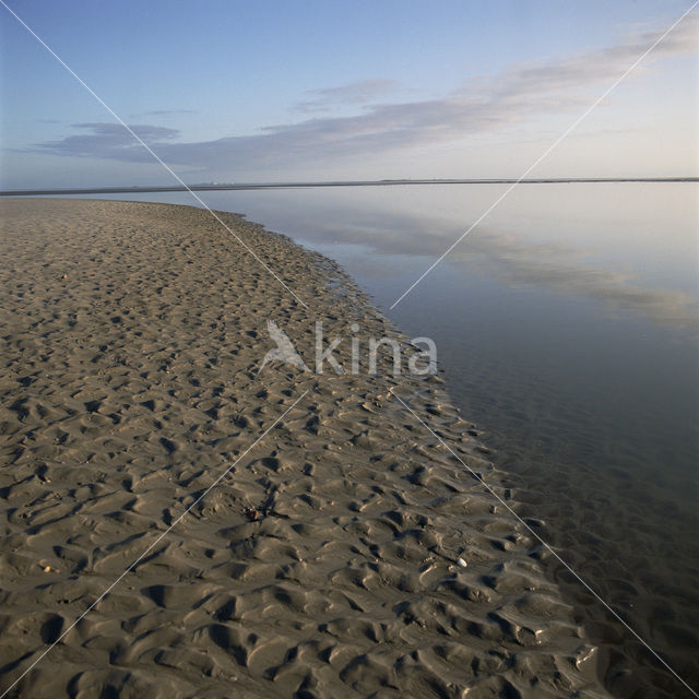 Waddenzee