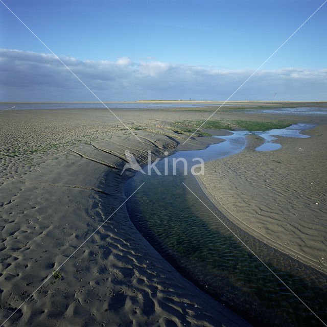 Waddenzee