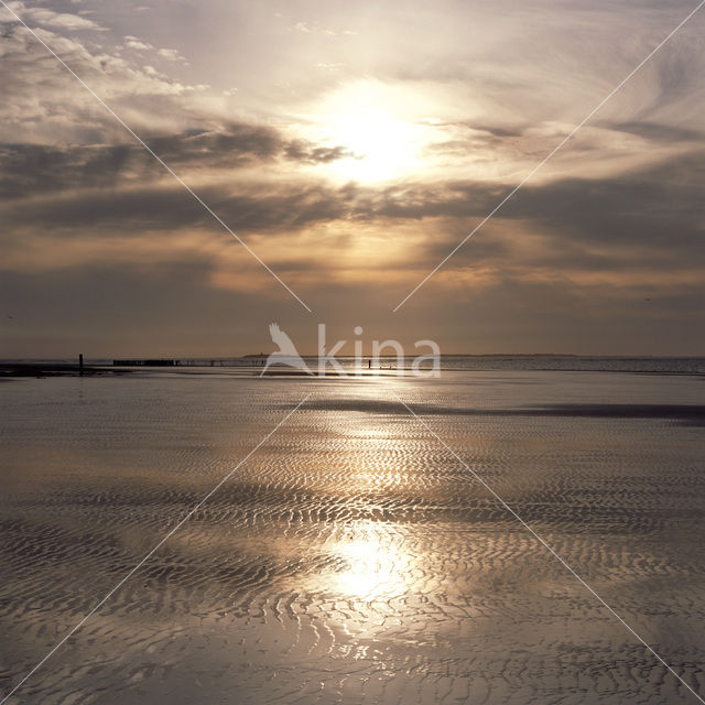 Waddenzee