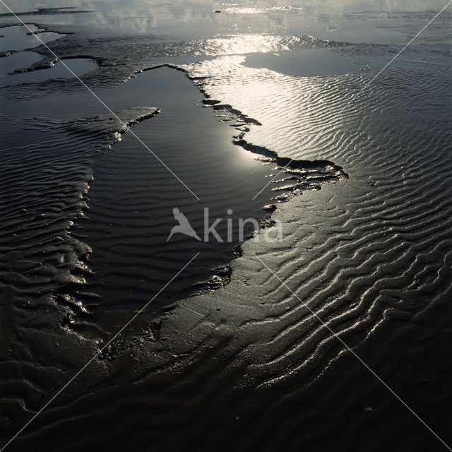 Waddenzee